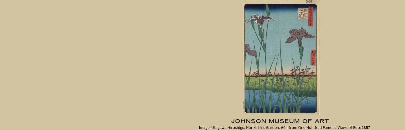 Johnson Museum Field Trip