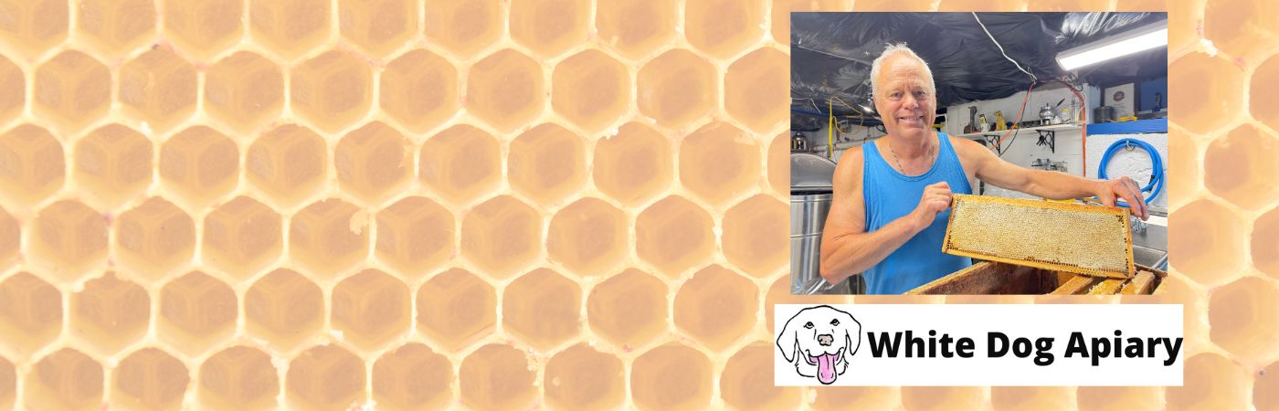 Winter Beekeeping Workshop