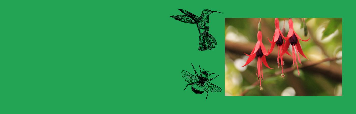 Permaculture Workshop